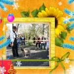 Питомник собак, фото