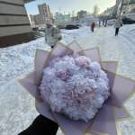 Ширин, фото