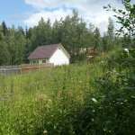 Андрей, фото