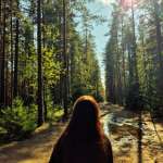 София, фото