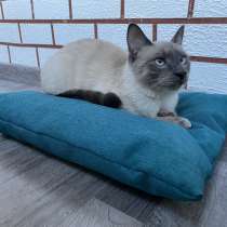 Подушка лежанка Barbaris для кошек Бирюза, в Хабаровске