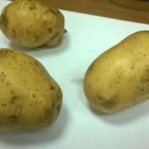 Картофель и прочие овощи оптом, в Краснодаре