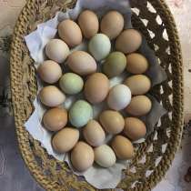 Продажа деревенского яйца, в Твери