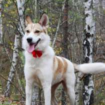 В самые любящие ручки, в Москве