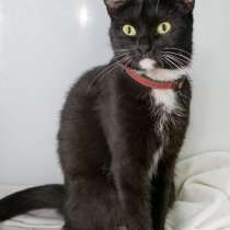 Мадонна - грациозное произведение искусства, в Москве