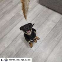 Маркус в поисках семьи, в Москве