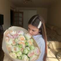 Выгул собак и кошек, в Ростове-на-Дону