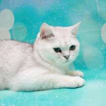 Сказочная красавица с поистине ангельским характером, в Москве