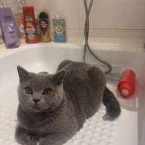 Британец, в Омске