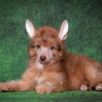 КХС, в Москве