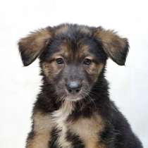 Малышка Веста мечтает о любящих руках, в Москве