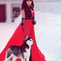 Щеночки сибирской хаски. черно-белые. голубоглазые, в Санкт-Петербурге