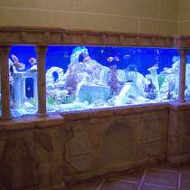 Оформление и обслуживание аквариумов, в Москве