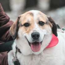 Улыбчивый лучик Фаина ищет семью, в Москве