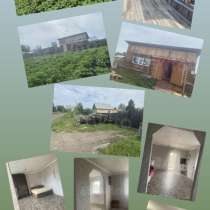 Строчная продажа, в Зиме