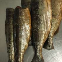 Рыба Кета х/к, в Москве