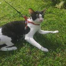 Вязка, в Москве