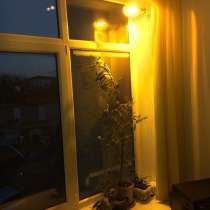 Натриевые зеркальные лампы ДНаЗ Reflux (Рефлакс), в Новороссийске