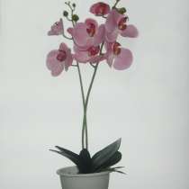 Растения интерьерные искусственные (цветы орхидеи) в Коврове, в Коврове