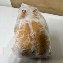 Домашние куры Халяль Дагестан, в Мытищи