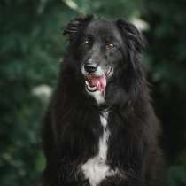 Весёлая, ласковая Чукча ищет семью, в Москве