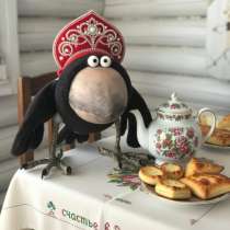 Ворона игрушка, в Москве