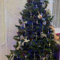 Ёлка, в Тюмени