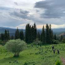Горный отель "Алаколь - Жыргалан". Кумысолечение на джайлоо, в г.Бишкек