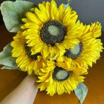 Подсолнух 5 штук, в Коломне