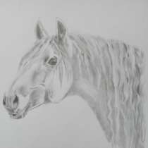 Рисунок загадочная лошадь, в Энгельсе