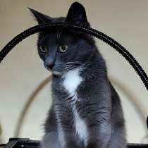 Ласковая Эльфи, в г.Минск