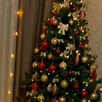 Ёлка, в Череповце