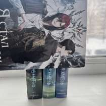 Книга Бакмана, в Новосибирске