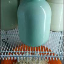 Домашняя молочная продукция, в Искитиме