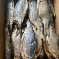 Рыба вяленая. Плотва вяленая с икрой, в Ярославле
