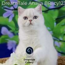 DreamTale female Anaya cy1233 06.04.22 Turkey, в г.Стамбул