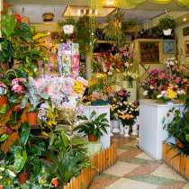 Продаю салон цветов с гарантированной прибылью, в Москве