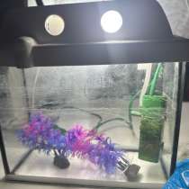 Аквариум на продажу, в Нижнем Новгороде