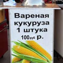 Аппарат для продажи варенной кукурузы, в Дмитрове