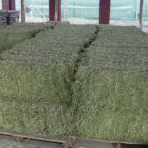 Сено в тюках, в Москве