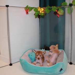 Голый мальчик КХС, в Москве