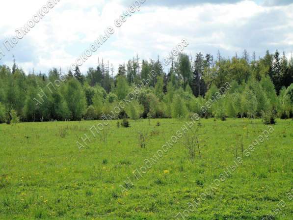 realty_mapper3.plot_in_locationПлощадь 253.00 сот.Есть Электричество, Газ. в Москве фото 29