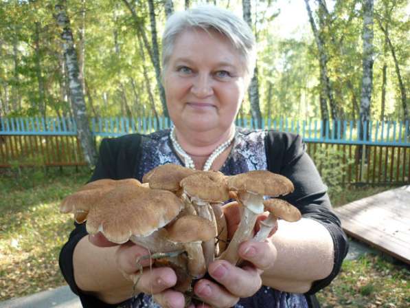Галина, 60 лет, хочет пообщаться в Красноярске