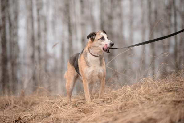 Молодой энергичный Майор ищет семью в Москве фото 60