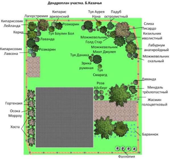 Проектирование ландшафта в Севастополе фото 5