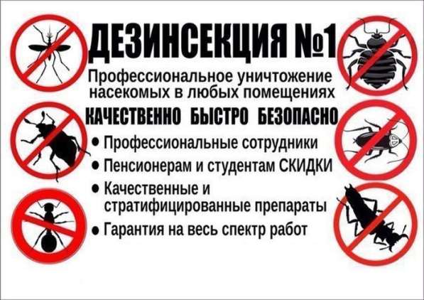 Уничтожение тараканов, клопов, грызунов в Шелехове фото 3