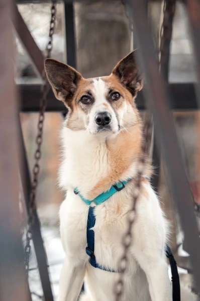 Тунис в поисках любящей семьи в Москве фото 30