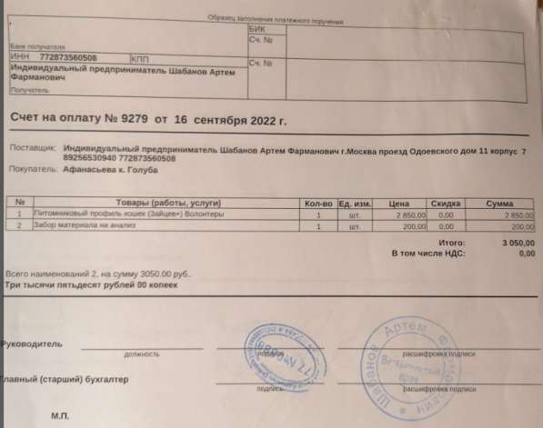 Сос! Кошечку выкинули на улицу в Москве фото 3