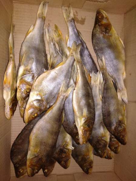 Рыба копченая, вяленая, соленая в Котласе фото 8