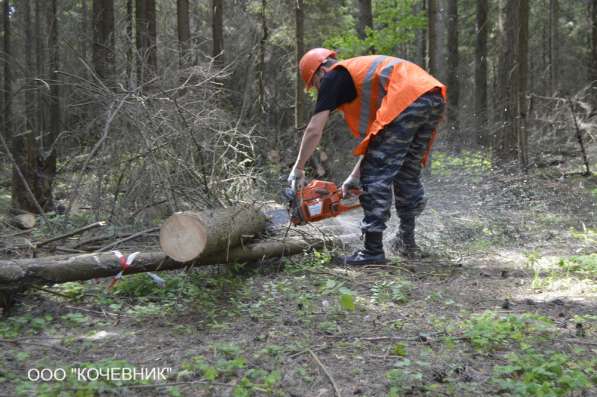 удаление опасных аварийных деревьев -кронирование в Москве фото 3
